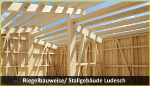 riegelbau 1 - Baustoff Holz